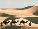 Sa mạc Sahara.